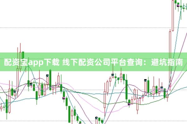 配资宝app下载 线下配资公司平台查询：避坑指南