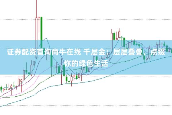 证券配资首询尚牛在线 千层金：层层叠叠，点缀你的绿色生活