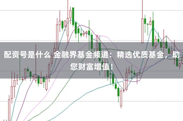 配资号是什么 金融界基金频道：精选优质基金，助您财富增值！