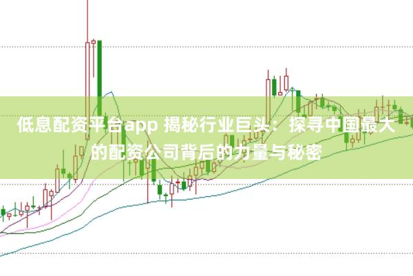 低息配资平台app 揭秘行业巨头：探寻中国最大的配资公司背后的力量与秘密