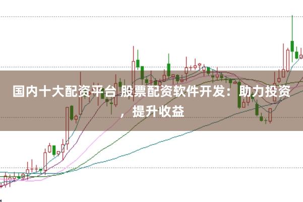 国内十大配资平台 股票配资软件开发：助力投资，提升收益