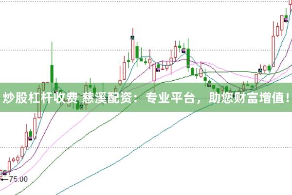 炒股杠杆收费 慈溪配资：专业平台，助您财富增值！