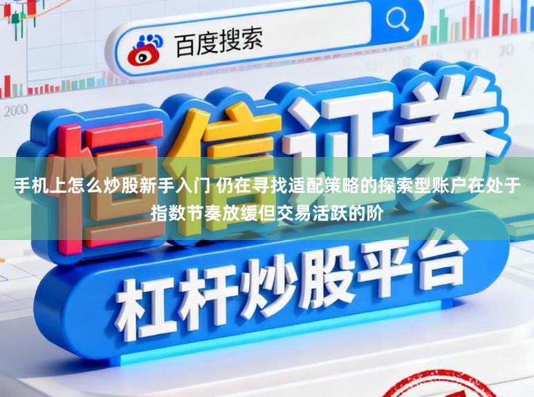 手机上怎么炒股新手入门 仍在寻找适配策略的探索型账户在处于指数节奏放缓但交易活跃的阶