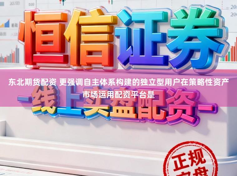 东北期货配资 更强调自主体系构建的独立型用户在策略性资产市场运用配资平台是