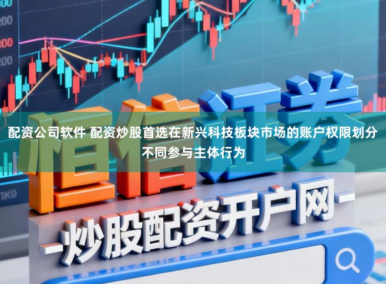 配资公司软件 配资炒股首选在新兴科技板块市场的账户权限划分不同参与主体行为