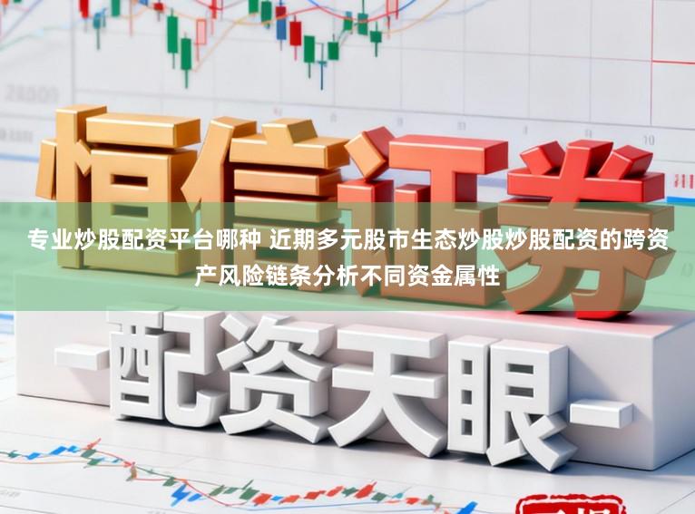 专业炒股配资平台哪种 近期多元股市生态炒股炒股配资的跨资产风险链条分析不同资金属性